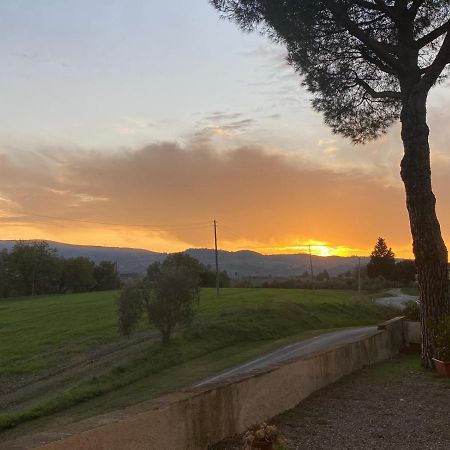 Tognazzi Casa Vacanze - La Collina Di سان جيمينيانو المظهر الخارجي الصورة